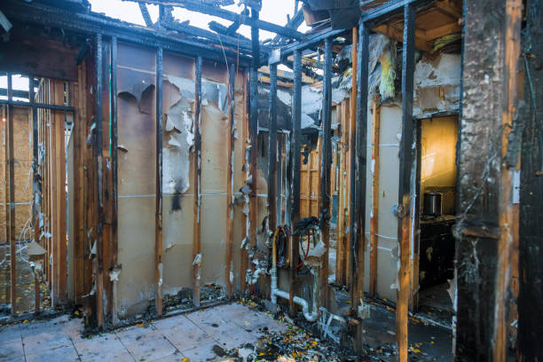 Professional Smoke Damage Removal technician working in Paeonian Springs, VA