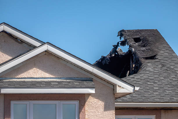 Top rated local Smoke Damage Removal specialists in Paeonian Springs, VA